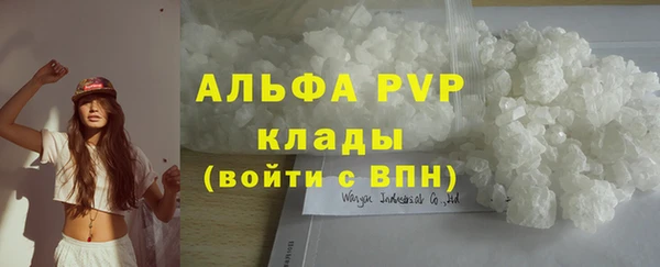 PSILOCYBIN Осташков