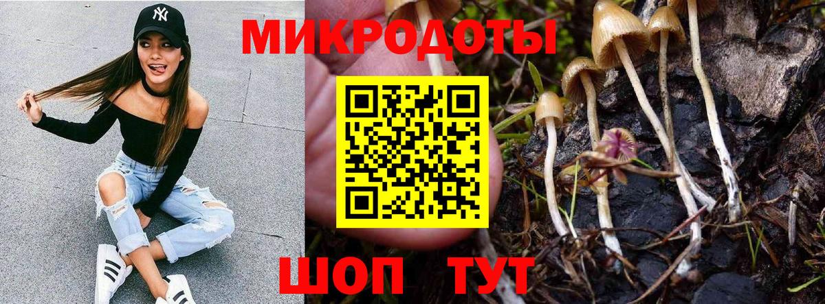 даркнет сайт  Псилоцибиновые грибы ЛСД  Вход с VPN  Псилоцибиновые грибы Psilocybe  Курган 