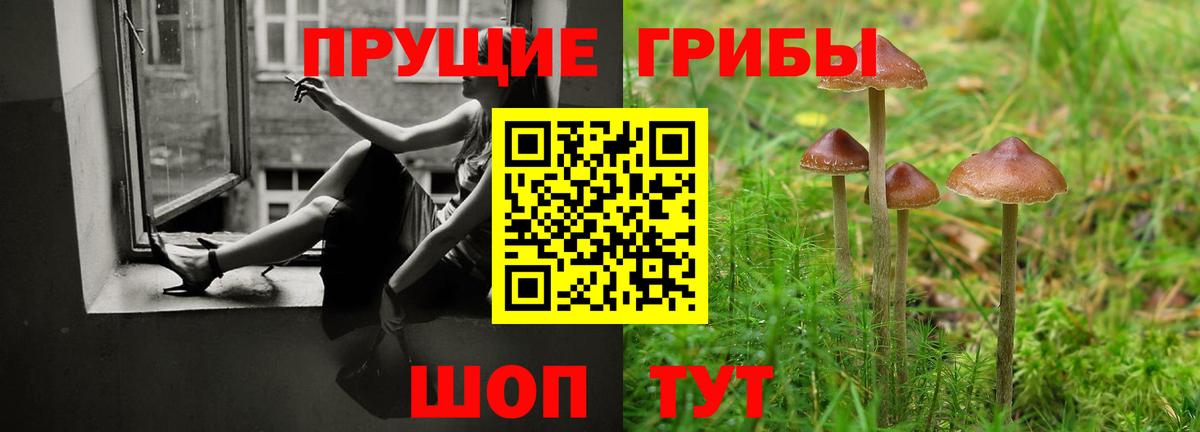 Галлюциногенные грибы мухоморы Курган