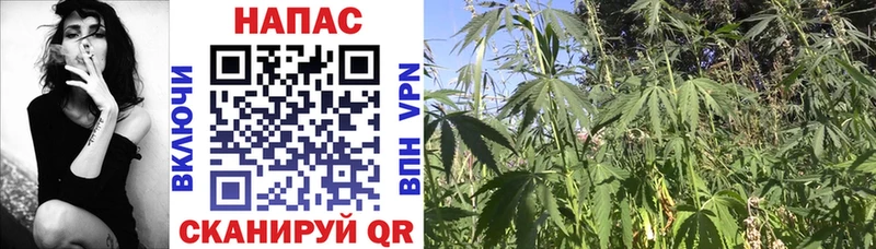 shop какой сайт  как найти закладки  Курган  Марихуана LSD WEED  blacksprut ссылка 