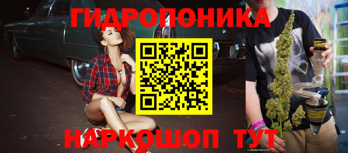 Шишки марихуана OG Kush Курган